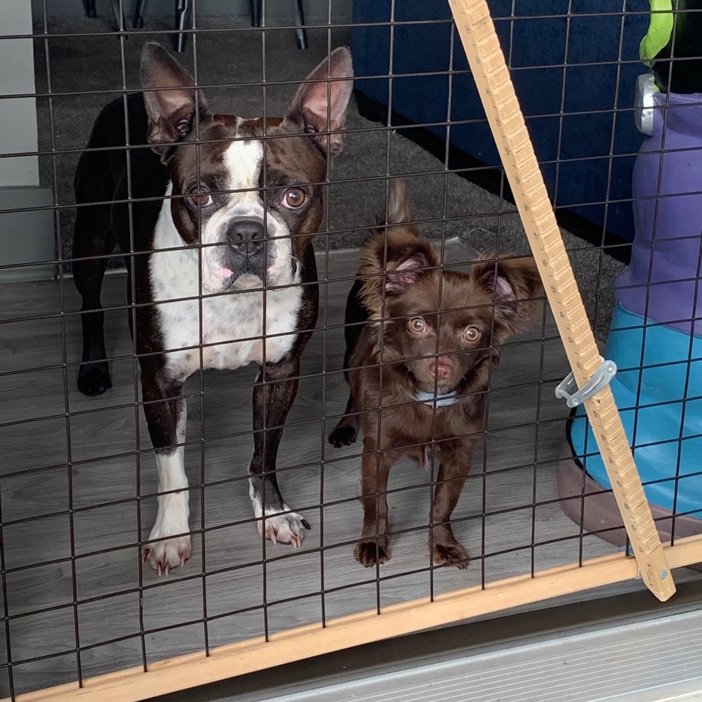 Meet your Posher, Bridget